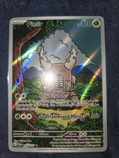 pinsir - Yelm, Washington