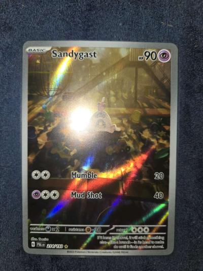 sandygast - Yelm, Washington