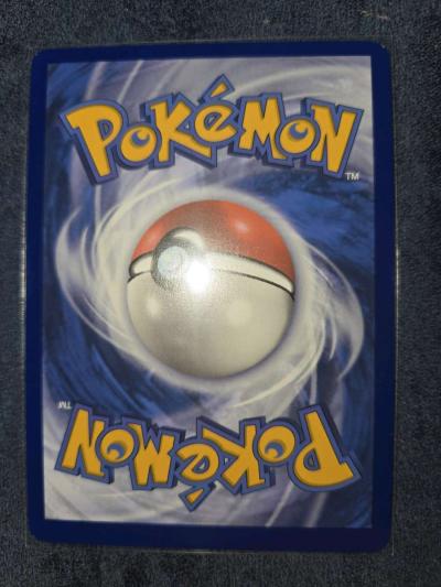 pinsir - Thumbnail 2