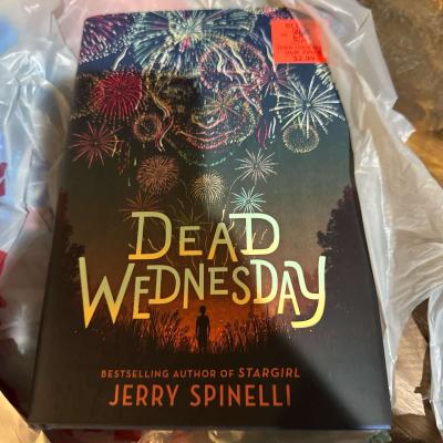 blow up ornament and a book to read - Thumbnail 2