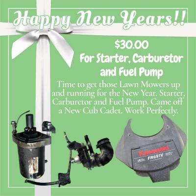 Starter Carburetor Fuel Pump - Thumbnail 1