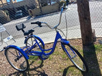 Schwinn Meridian Adult Tricycle - Thumbnail 3