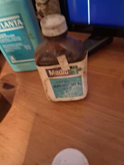 collection of med Bottles - Thumbnail 4