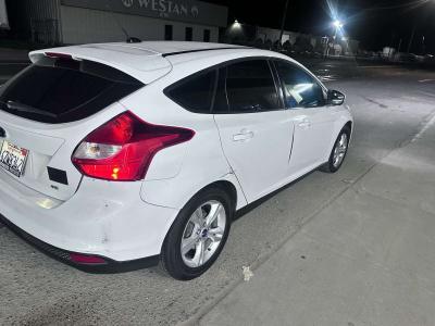 focus 2013 - Thumbnail 4