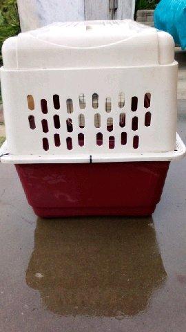 pet kennel - Thumbnail 5