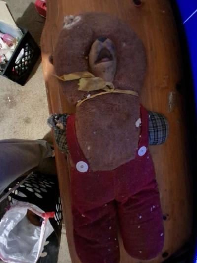 teddy bear rushton - Thumbnail 2