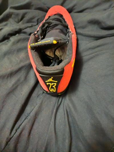 Air Jordan Ferrari 14s - Thumbnail 3