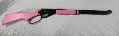 Pink Daisy BB Gun