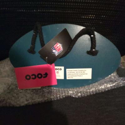 Foco Philadelphia Eagles wall decor - Thumbnail 2