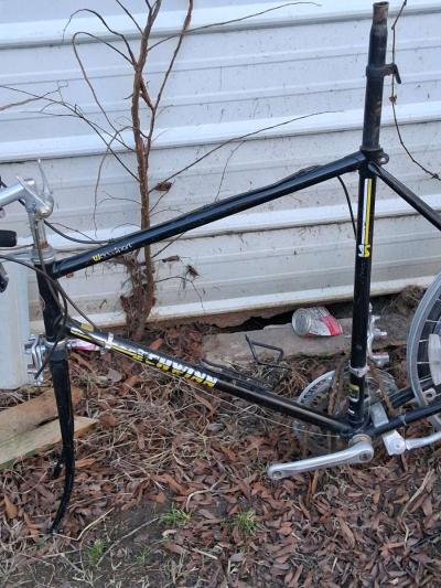 schwinn world tour 81 needs tires