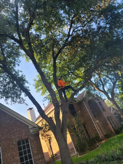 residential and commercial - Thumbnail 3