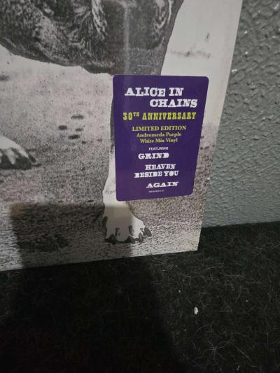 Alice In Chains SelfTitled Vinyl LP Colored Vinyl LP - Thumbnail 2