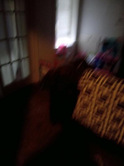 Mudd Room Shelf - Thumbnail 5