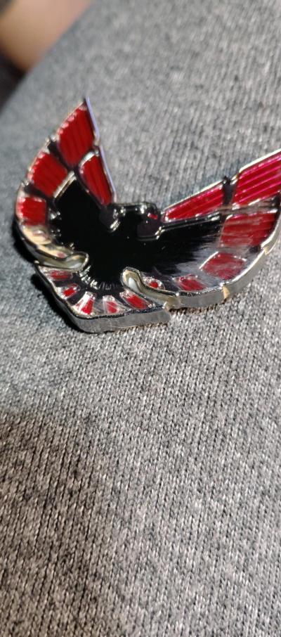This item is a 19741976 Pontiac Firebird header panel emblem - Thumbnail 3