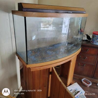 extremely large 5 ft fishtank never used - Thumbnail 2