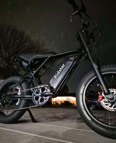 Ridstar Q20 54V - Thumbnail 2