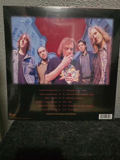 Gin Blossoms New Miserable Experience Vinyl Lp - Thumbnail 2