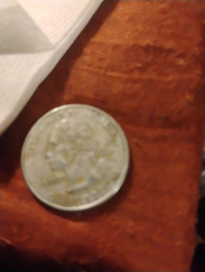 fur coat - Thumbnail 2