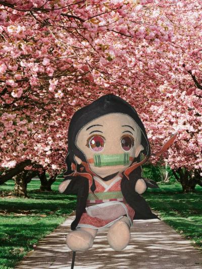 Demon slayer Kimetsu no Yaiba Kamado Nezuko Plush Doll Stuff - Thumbnail 2