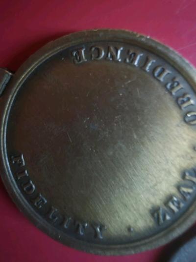 excotic snd not asmuch - Thumbnail 3