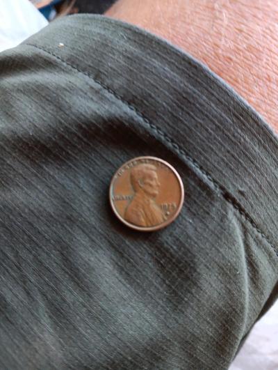 1979 no mint pennies  1982 31 gram copper pennies - Thumbnail 4