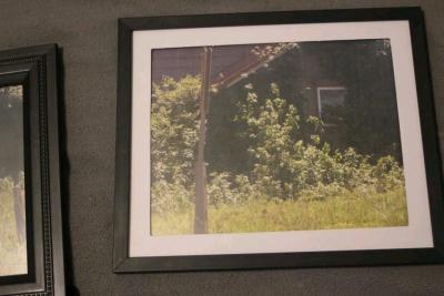 flower 8x10 photos - Thumbnail 4