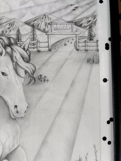 Freedom Beyond the Fence IFlagship Original 11x14 - Thumbnail 3