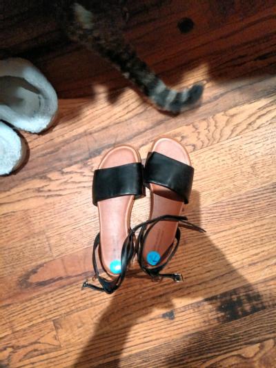 ladies shoes - Thumbnail 9