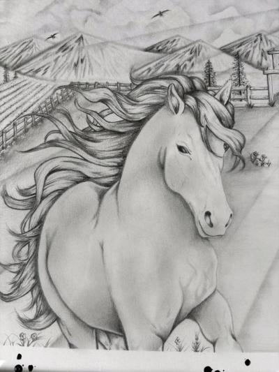 Freedom Beyond the Fence IFlagship Original 11x14 - Thumbnail 2