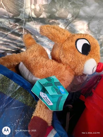 New dog toy - Thumbnail 3