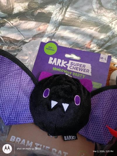 New M to L dog toys - Thumbnail 3