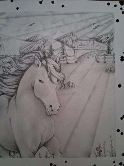 Freedom Beyond the Fence IFlagship Original - Thumbnail 3