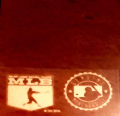 Hideo Nomo No Hitter MLB 8x10 - Thumbnail 2