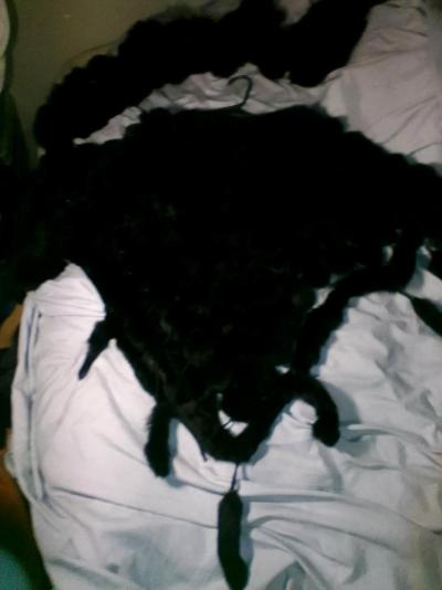 1930s 1950s black mink shaw and shoulder wrap - Thumbnail 2