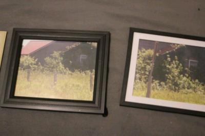 flower 8x10 photos - Thumbnail 2