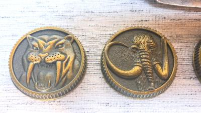 Power Rangers Morpher Bundle Complete Coin Set - Thumbnail 3