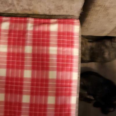 Red and White Plaid Checkered Cotton Cloth Rectangle Napkins - Thumbnail 3