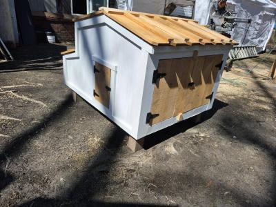 4x4x3 chicken coop - Thumbnail 6