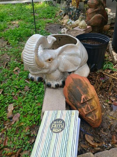 yard landscape decor - Thumbnail 4