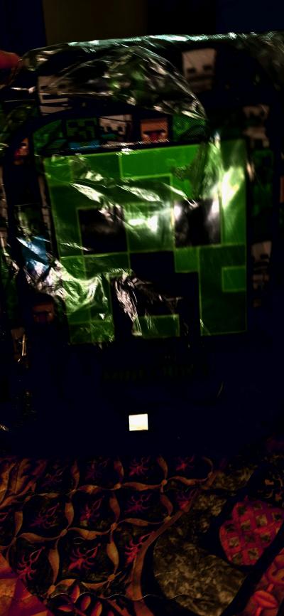 Minecraft  Back  Pac