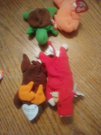 beanie babies - Thumbnail 8