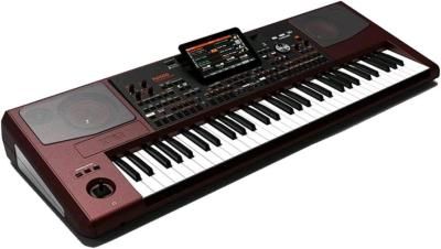 KORG PA1000 61 KEY ARRANGER - Thumbnail 4