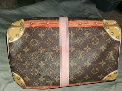 Loius Vuitton Purse - Thumbnail 4