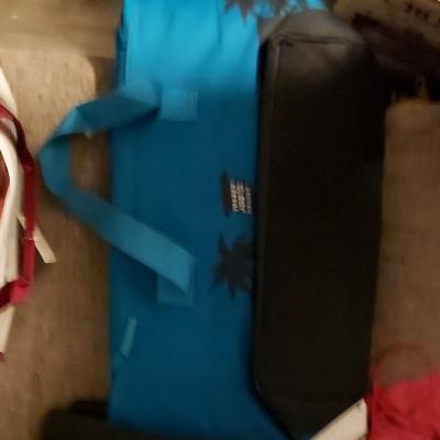 Stone Oven Pizza Insulated Blue Pizza Delivery Bag with Palm - Thumbnail 5