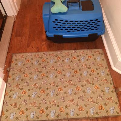 Complete Small Dog Starter Bundle  21 Crate LED Harness Pet - Thumbnail 3