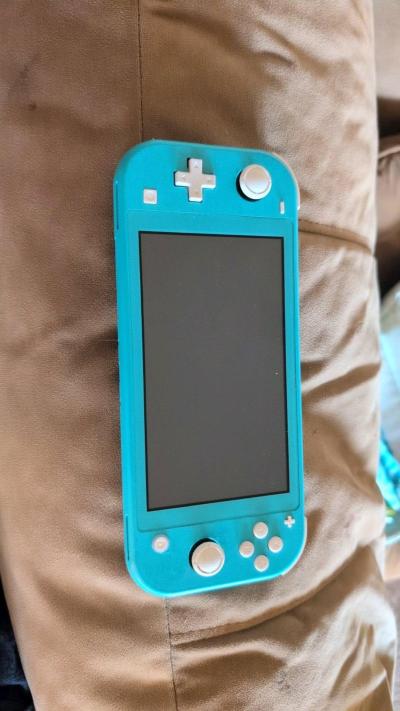 Nintendo Switch Lite - Wadsworth, Ohio