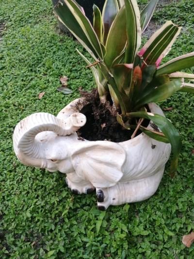 garden decor pots and iron - Thumbnail 5