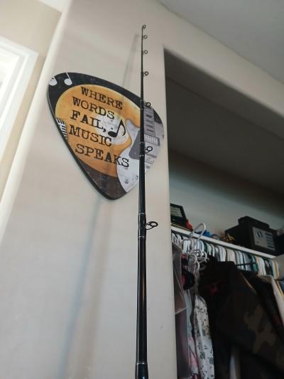 Seeker blue lightning  7097t 20 25 30 and Penn squal 15 in g - Thumbnail 2