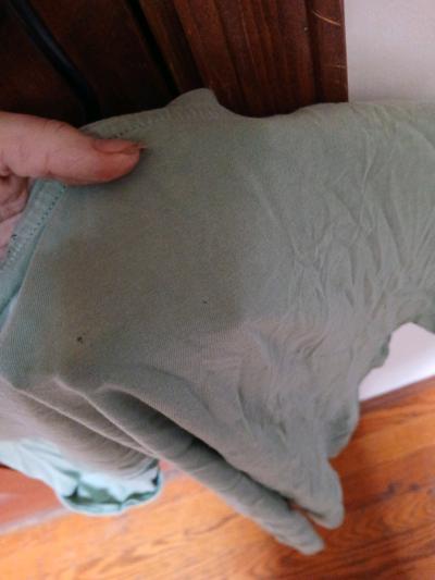 womens Zara tee shirt - Thumbnail 4