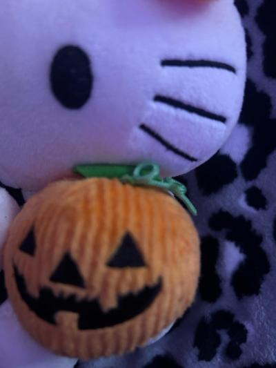 hello kitty plush - Thumbnail 3